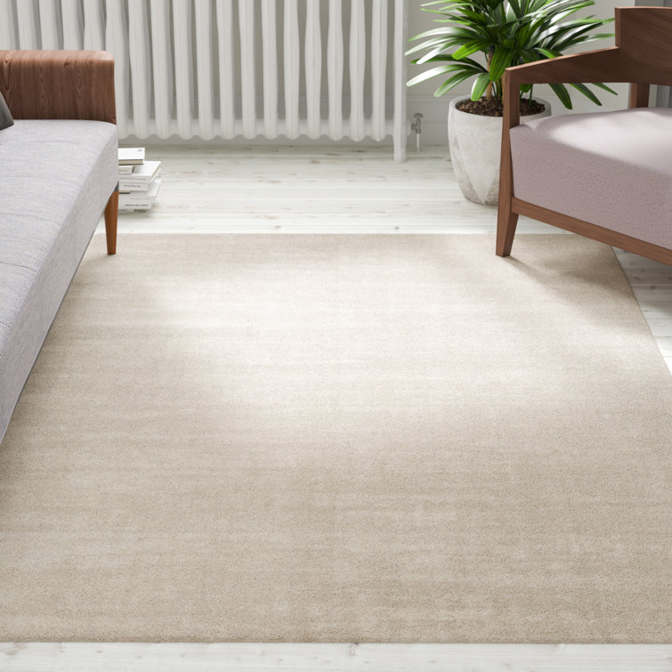 Hykkon Tiffany Low Pile SemiPlain Shaggy Cream Rug & Reviews Wayfair.co.uk